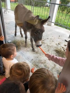 FB_IMG_1578497639433