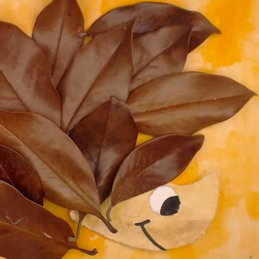 FB_IMG_1559996208742